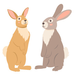 rabbits flat design on white background, isolated vector
