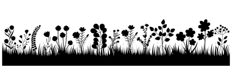 grass with flowers silhouette on white background, isolated vector