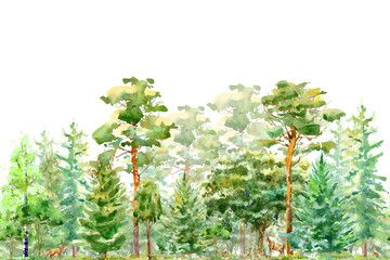 Seamless border of a fox,hare, deer, oak,birch,pine,spruce.Forest animals.Deciduous and conifers tree.Watercolor hand drawn illustration.White background.
- 489248878
