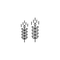Cereal wheat grain line icon. Barley harvest