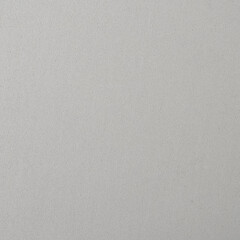 Realistic Monochrome Grey Craft Foam Texture