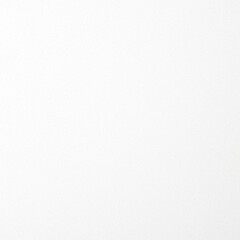 Realistic Monochrome White Craft Foam Texture