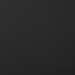 Realistic Monochrome Black Craft Foam Texture