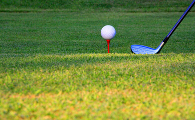 close up golf club and golf ball on green grass with sunrise background