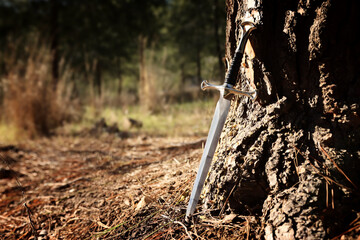 mysterious and magical photo of silver sword in the England woods. Medieval period concept
