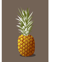 Sweet juicy pineapple