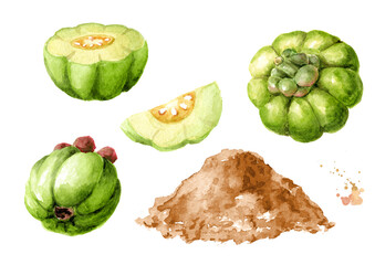 Garcinia cambogia extract, powder set, superfood, antioxidant. Hand drawn watercolor  illustration isolated  on  white background