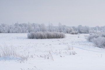 Winter landscape with snow-covered trees