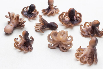 Boiled octopus babies on table. Top view