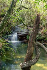 beach and waterfalls and natures witch rivers