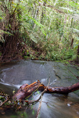 beach and waterfalls and natures witch rivers