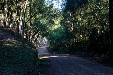 road in the countryside near the end of the afternoon