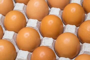 Fresh eggs evenly arranged in an egg container. Food background