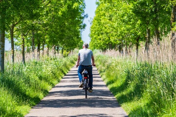 Senior man cycling at island and nature reserve Tiengemeten Hoeksche Waard n South Holland in The...