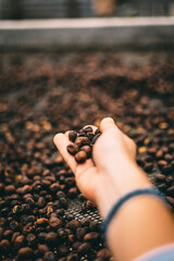 coffee beans in hand