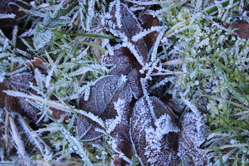 hiver glacial