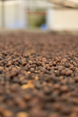 close up of a carpet on the street
