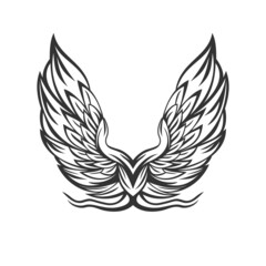 Wings with line art style design vector