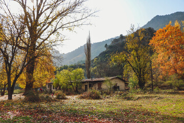 Fototapeta na wymiar House in autumn forest, village in the forest, Pozantı Town, Adana, Turkey