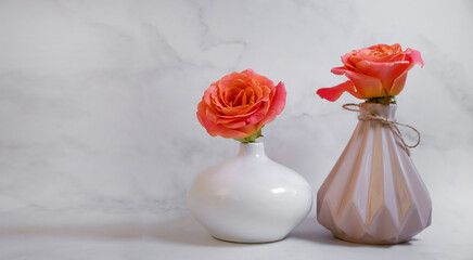 rose flower in vase on old background