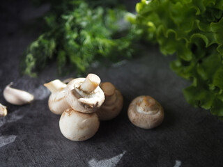 Healthy food. mushrooms, greens on a dark background