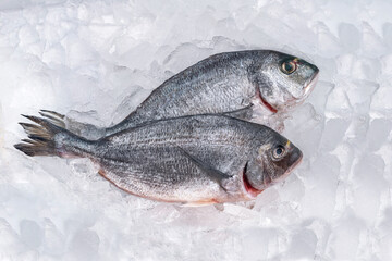 Gilt-head bream fresh raw fish dorada without scales and gills, ready for cooking. Picture of dorade for the fish seafood market menu