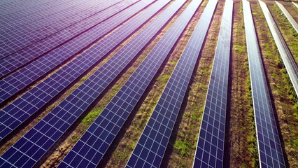 Violet blue purple lines of blocks of solar panels solar power plant in field with red sun glare....