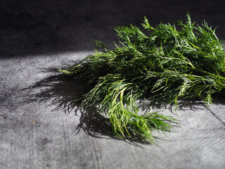 A bunch of dill on a dark background, sunlight. Healthy food
