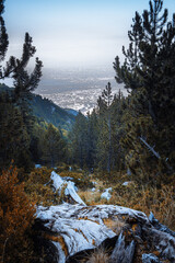 Fototapete bei efototapeten.de bestellen   