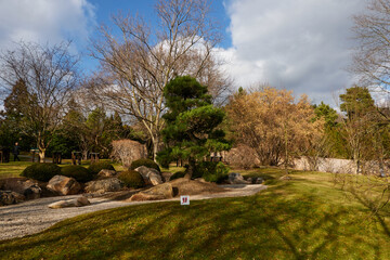 Fototapeta premium Prague, Czech Republic - February 12, 2022 - The Botanical Garden - the Japanese Garden in the sunny winter afternoon