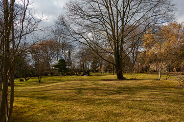 Prague, Czech Republic - February 12, 2022 - The Botanical Garden - the Japanese Garden in the sunny winter afternoon
