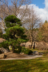 Obraz premium Prague, Czech Republic - February 12, 2022 - The Botanical Garden - the Japanese Garden in the sunny winter afternoon