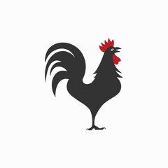 Silhouette rooster design. Male chicken silhouette vector