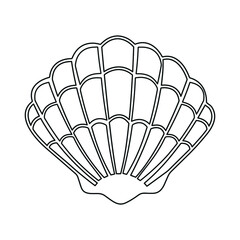 sea shell line icon vector illustration