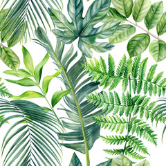 Jungle palm leaves, tropical leaf, watercolor botanical illustration. Seamless patterns.