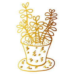 Hand drawn  succulent outline icon in doodle style. Vector liner illustration for print, web, mobile and infographics isolated on white background.  