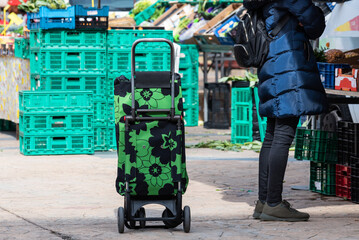 Customer shopping with his cart at the vegetable market