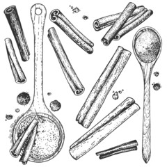 Collection of sketchy hand-drawn cinnamon. Monochrome illustrations of engraving style. A set of isolated objects to create a design. Ground cinnamon in wooden spoons