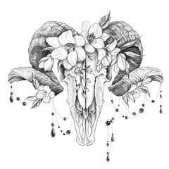 Tattoo style illustration with ram skull with flowers