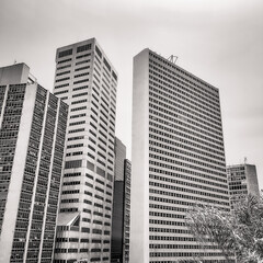 Fototapeta premium skyscrapers
