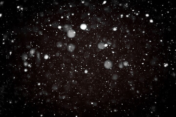 snow bokeh texture on black background