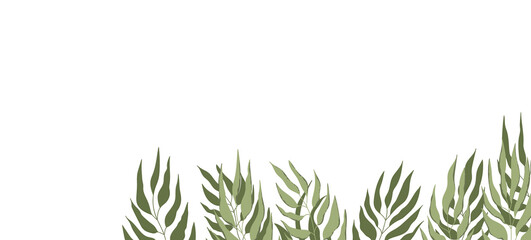 Naklejka premium Floral web banner with drawn color exotic leaves. Nature concept design. Modern floral compositions with summer branches. Vector illustration on the theme of ecology, natura, environment