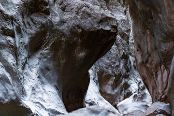 Fototapeta na wymiar landscape at the bottom of a mysterious narrow rocky canyon