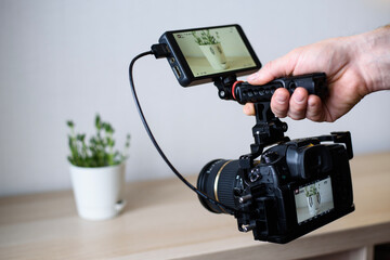 hold a camera with a camera monitor in your hands and take a video of a plant standing on a table