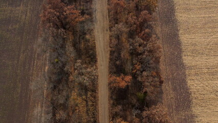 Landscape view of dirt rural road between trees and fields on sunny autumn day. Aerial Drone View Flight Over country road among trees and dry fallen leaves. Scenery nature, traveling earth pathway