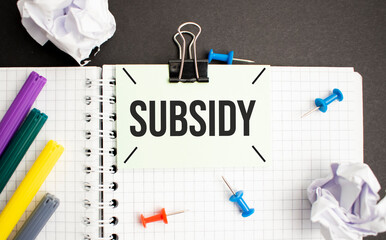 subsidy word written on wood block. reduction word is made of wooden building blocks lying on the blue table. Business concept