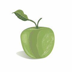 illustration of a green apple