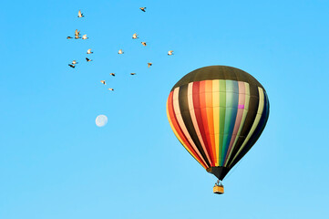globo palomas
