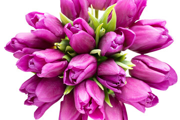 Purple tulip bouquet on the gray background.