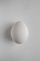 White egg on white background with soft shadows